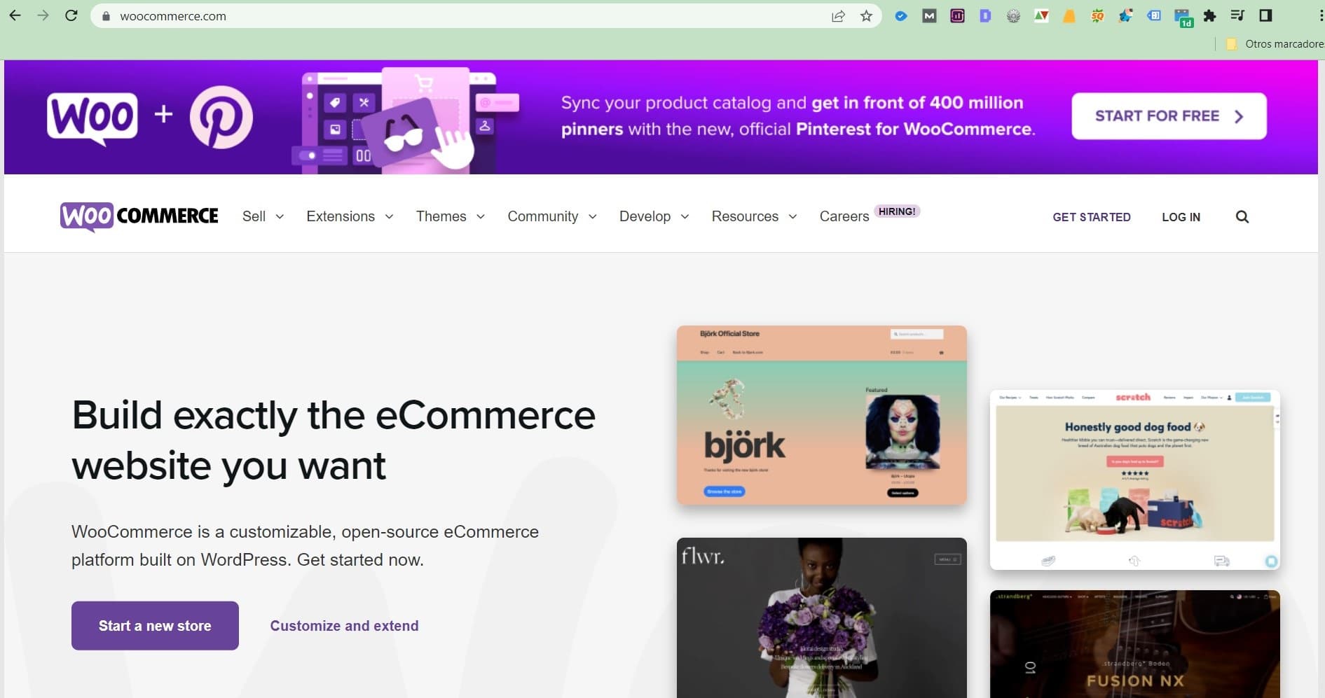 TODO SOBRE LAS PLATAFORMAS DIGITALES: ¿QUÉ TIPOS EXISTEN? plataforma digital woocommerce